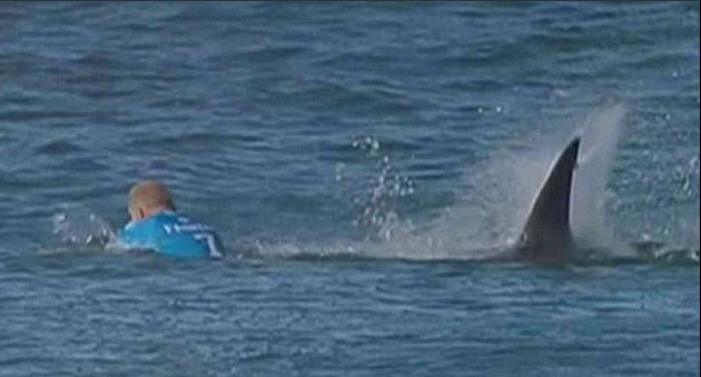 Surfista enfrenta ataque de tiburón en competencia Surfista enfrenta ataque de tiburón en competencia