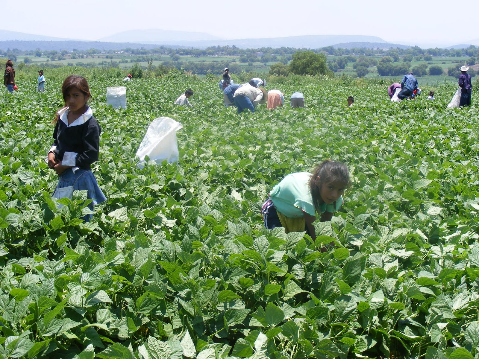 Ubican al dueño de los ranchos de Coahuila