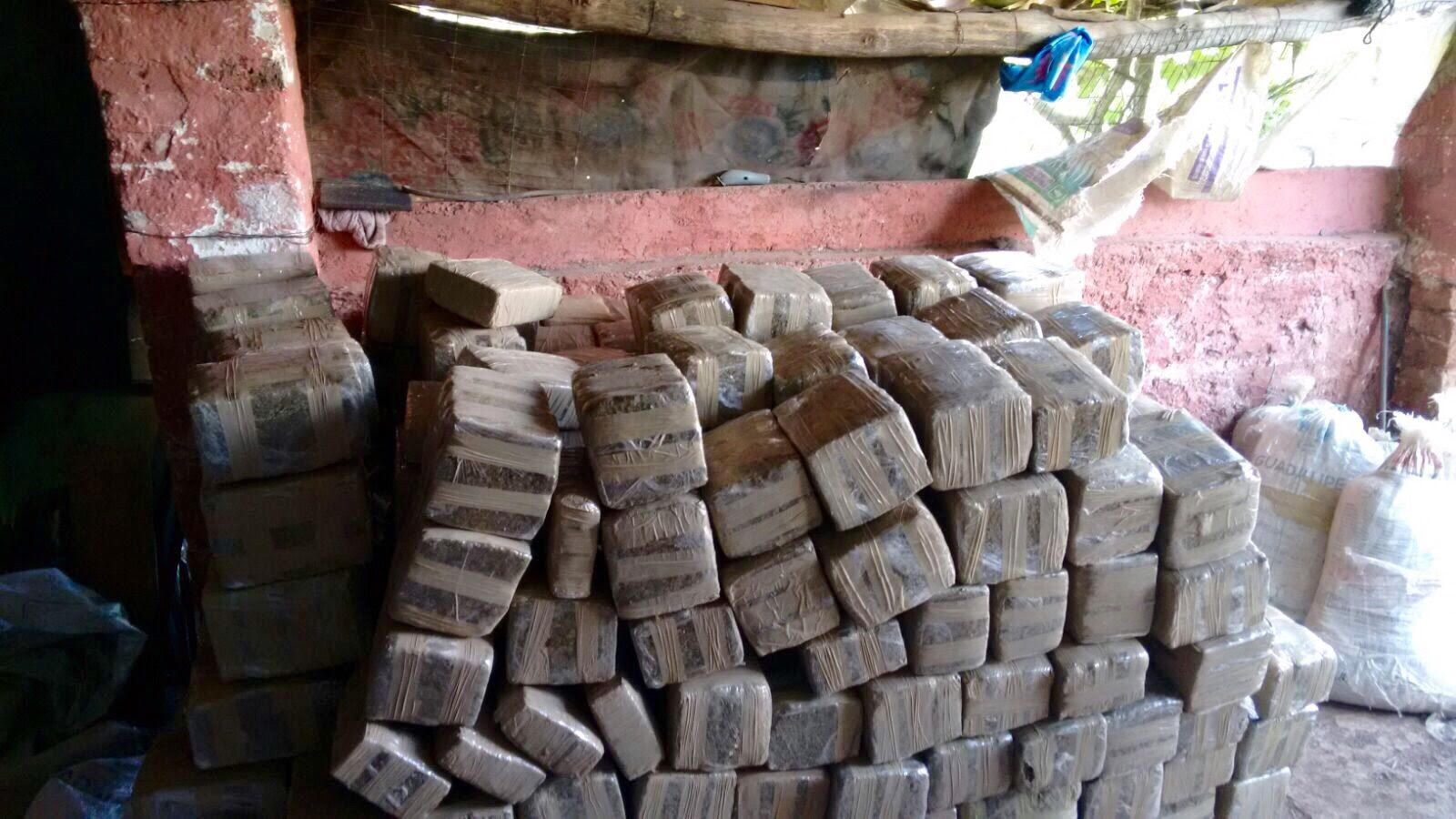 Decomisan más de una tonelada de mariguana en Jalisco