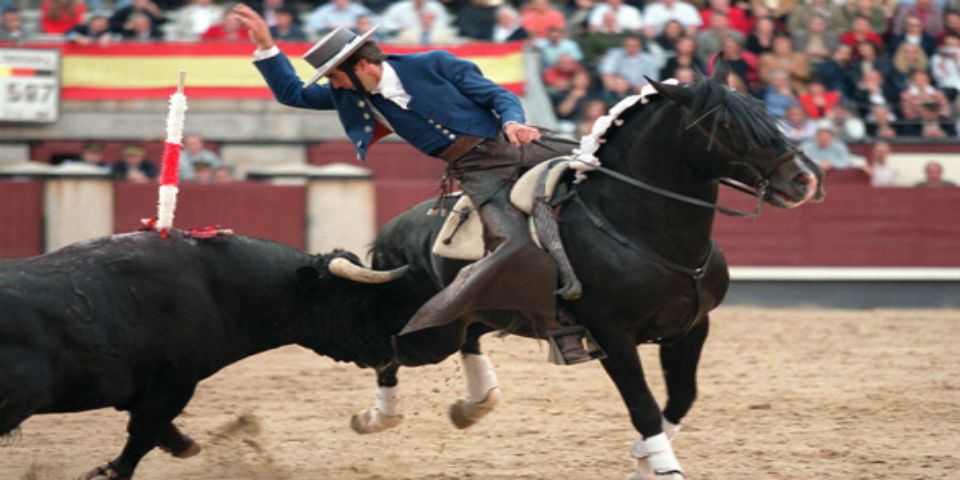 Muere el caballo más celebre del rejoneo
