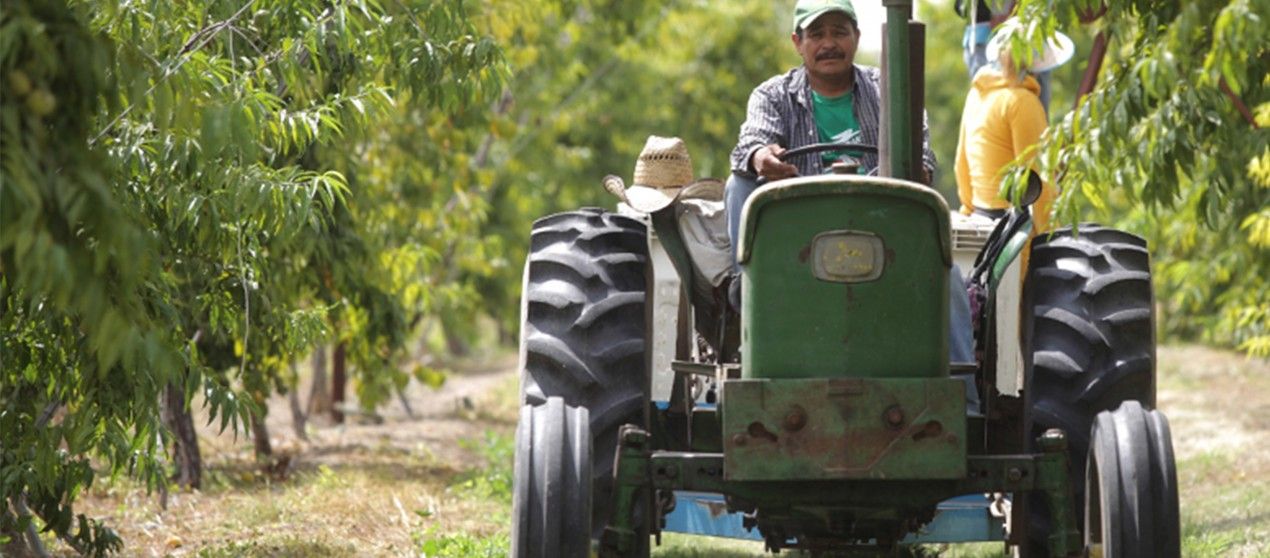 La SAGARPA anuncia programa Cruzada por la Productividad del Campo La SAGARPA anuncia programa Cruzada por la Productividad del Campo