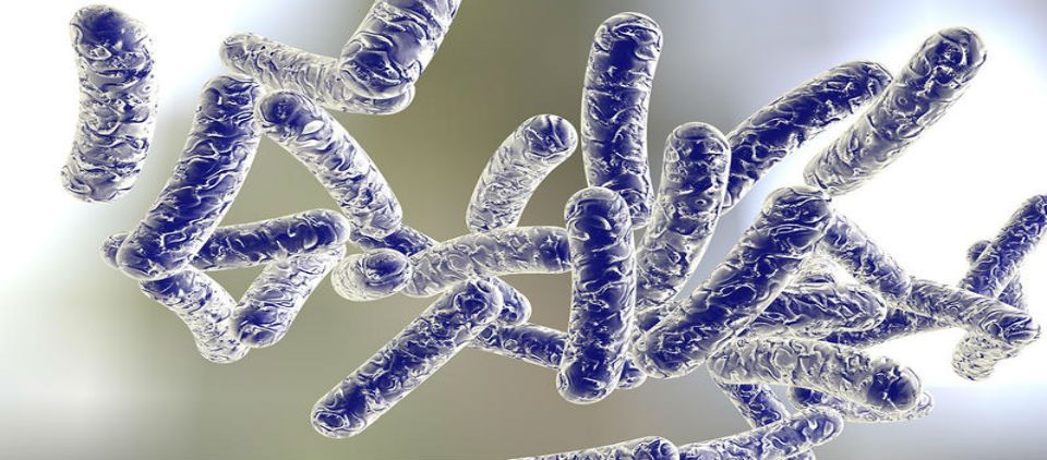 Siete muertos por brote de enfermedad del legionario en NY