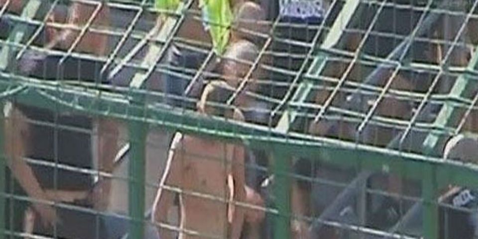 Desnudan y humillan a un aficionado en la grada