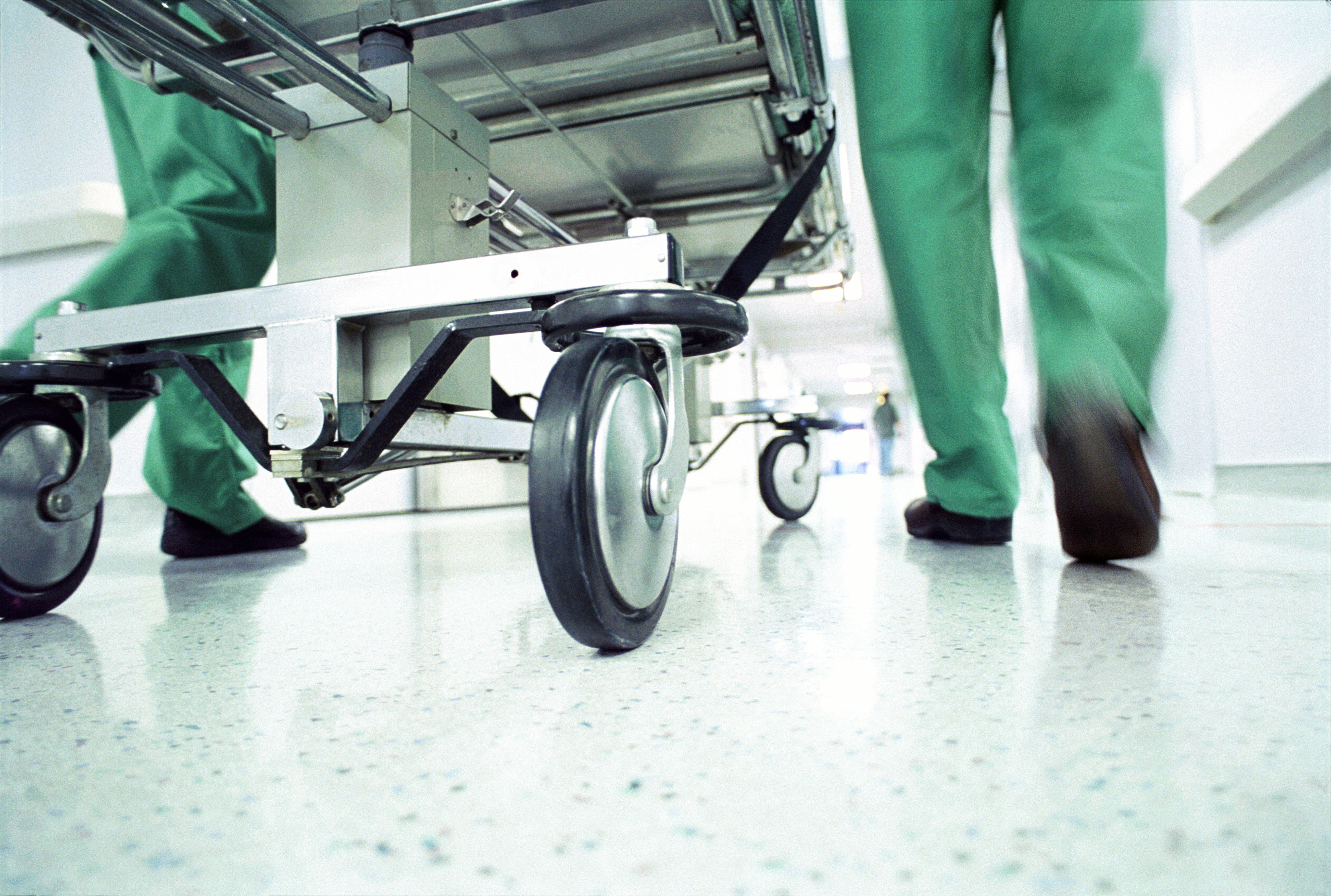 Muere recién nacido tras ser atacado por ratas en un hospital