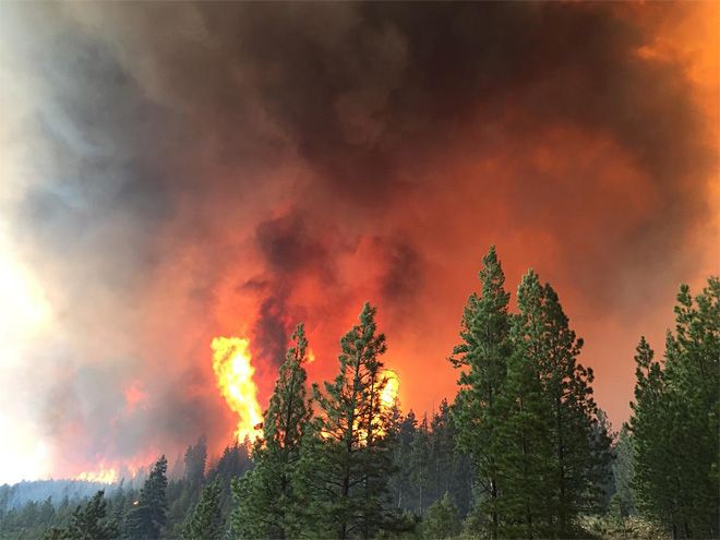 Van 36 incendios forestales en México en menos de 15 días