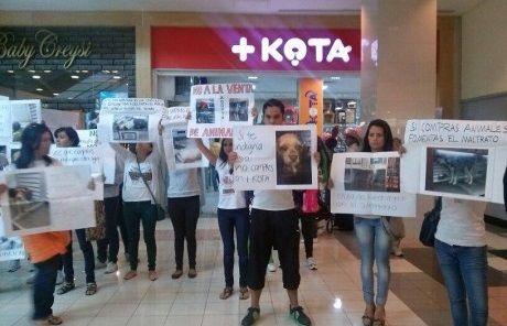 No nos corresponde la suspensión definitiva de tiendas +Kota: Profepa No nos corresponde la suspensión definitiva de tiendas +Kota: Profepa