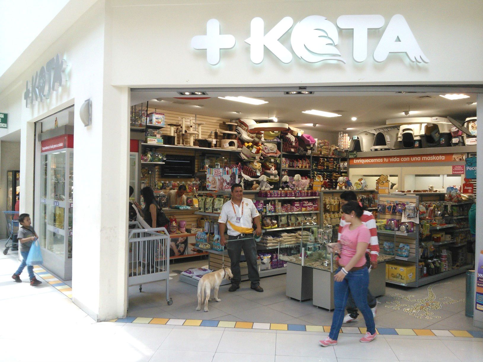 Encuentran 13 animales muertos en +KOTA