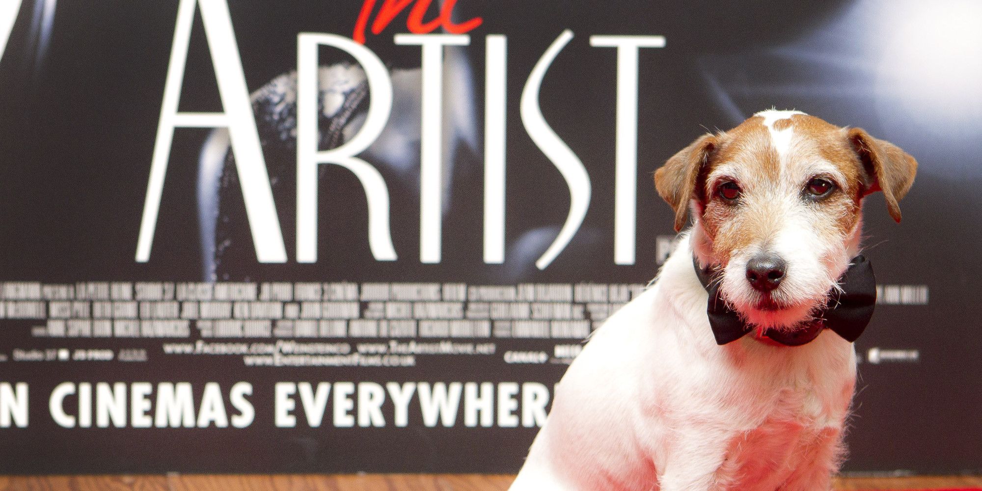 Muere el perro de la película The Artist