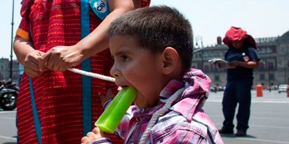 IPN crea paleta para combatir desnutrición infantil