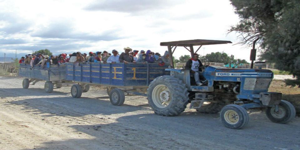 Auto de formal prisión al dueño de Prokarne