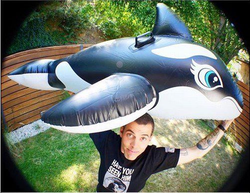 Actor de Jackass enfrenta cargos por protestar contra Seaworld Actor de Jackass enfrenta cargos por protestar contra Seaworld