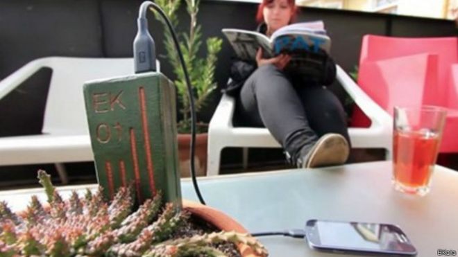 Una planta podría cargar la pila de tu celular