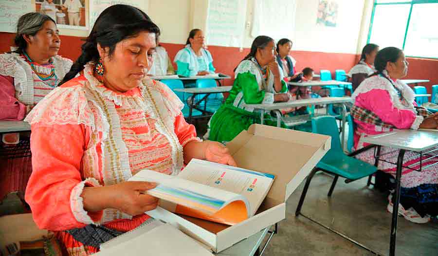 Oaxaca, Chiapas y Guerrero, los estados con mayor analfabetismo Oaxaca, Chiapas y Guerrero, los estados con mayor analfabetismo