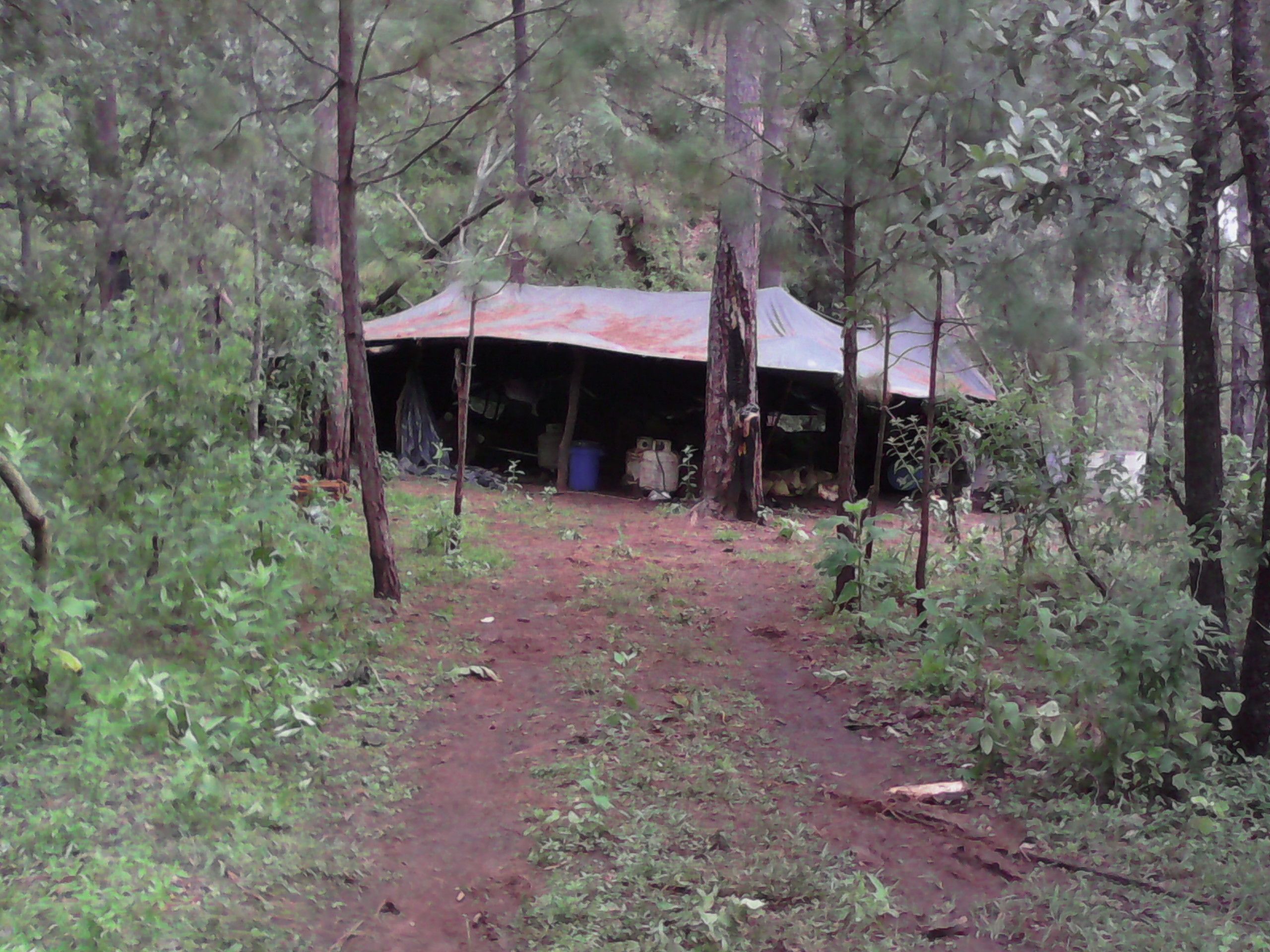 Desmantelan narcolaboratorio en Jalisco