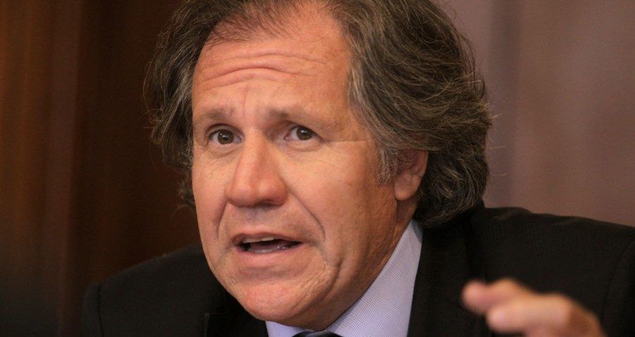 La OEA vigilará las elecciones de 2018 - LuisAlmagro_efe-900x600-e1487780908180