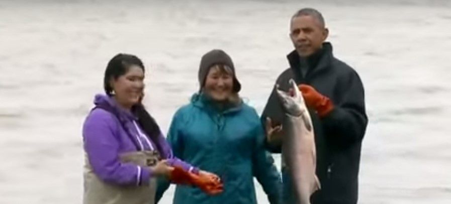Video: salm&oacute;n desova en los pies de Obama en Alaska