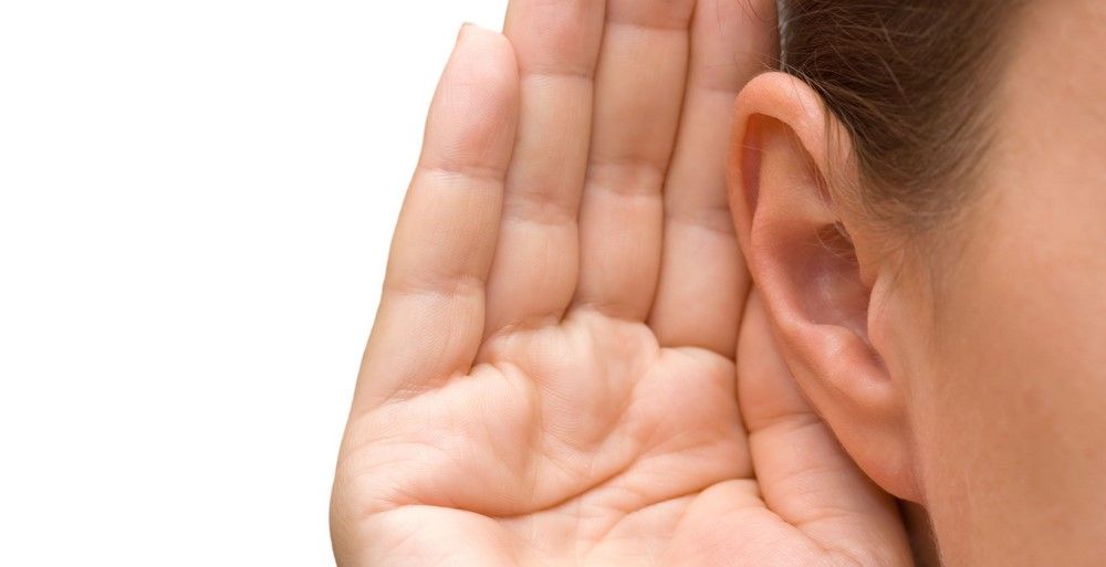 Video: sacan familia de cucarachas del oído de un joven Video: sacan familia de cucarachas del oído de un joven