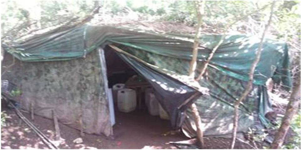 Aseguran laboratorios clandestinos en Sinaloa