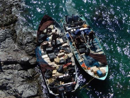 Semar decomisa más de 4 toneladas de mariguana en Sonora