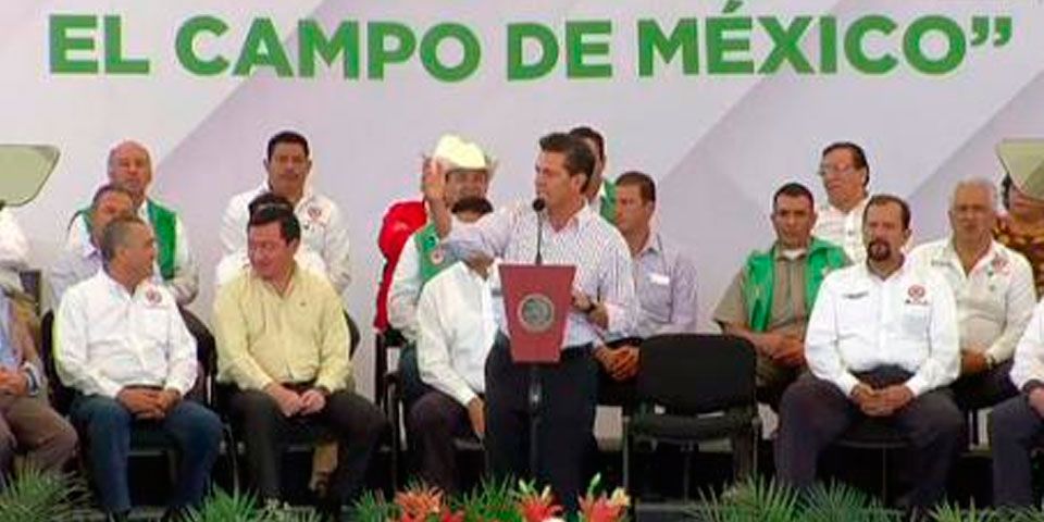 Avance económico con EPN, el más alto desde Zedillo Avance económico con EPN, el más alto desde Zedillo