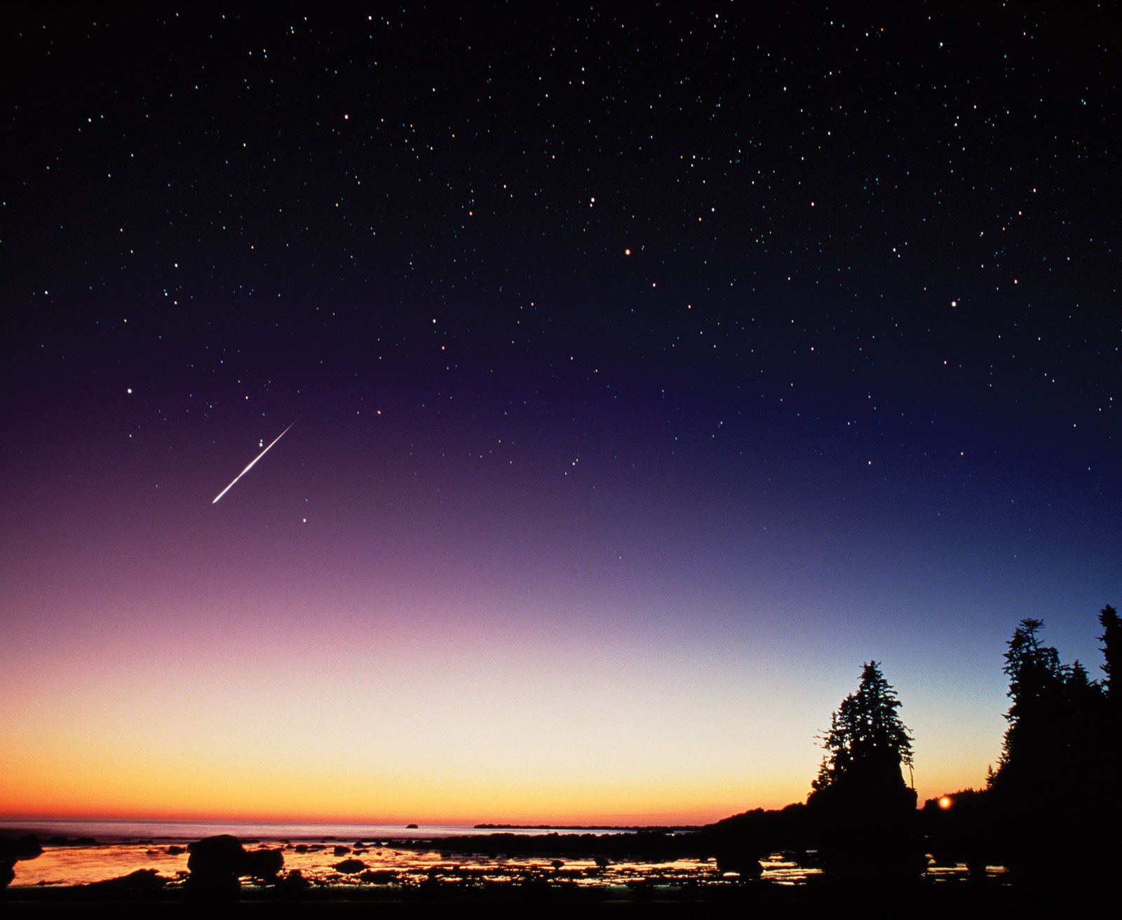 Heces fecales podrían confundirse con estrellas fugaces: NASA Heces fecales podrían confundirse con estrellas fugaces: NASA