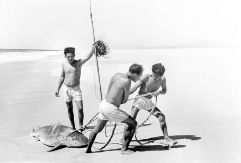 Inauguran en París primera exposición de Lola Álvarez Bravo Inauguran en París primera exposición de Lola Álvarez Bravo