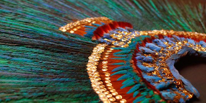 “El Penacho de Moctezuma” gana Premio Nacional de Periodismo