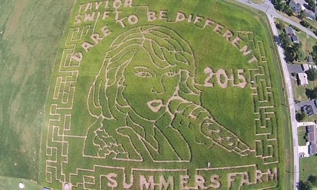 Video: crean laberinto con forma de Taylor Swift Video: crean laberinto con forma de Taylor Swift