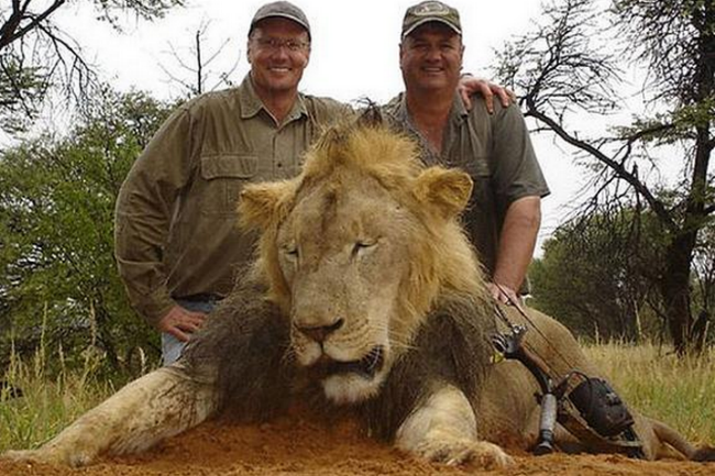 Congelan extradici&oacute;n de cazador asesino de le&oacute;n Cecil