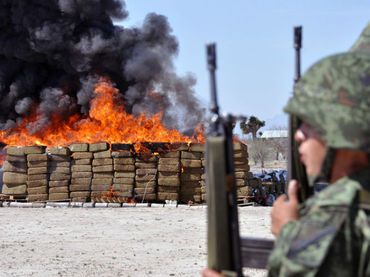 Destruye PGR más de una tonelada de drogas en Sonora