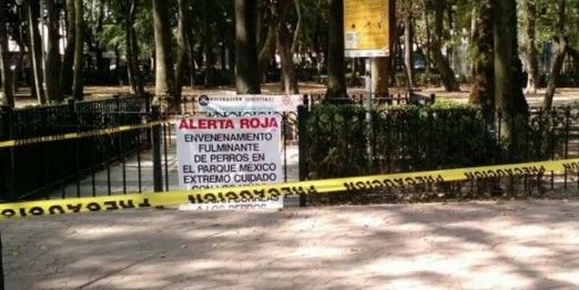 Raticida hallado en casa de anciana no mató a los perros: PGJDF