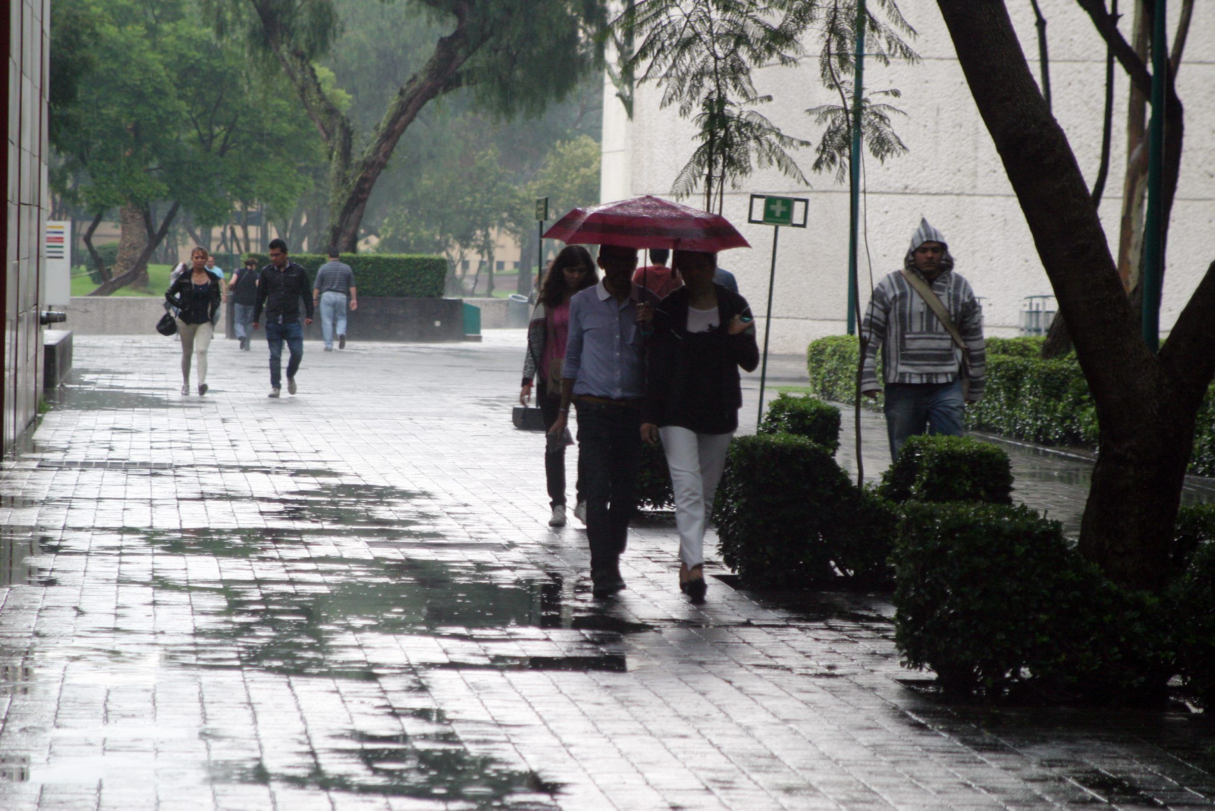 Lluvia ligera en siete delegaciones del Distrito Federal