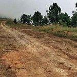 Imágenes de la casa del Chapo en Durango - Camino-de-Terracería-150x150