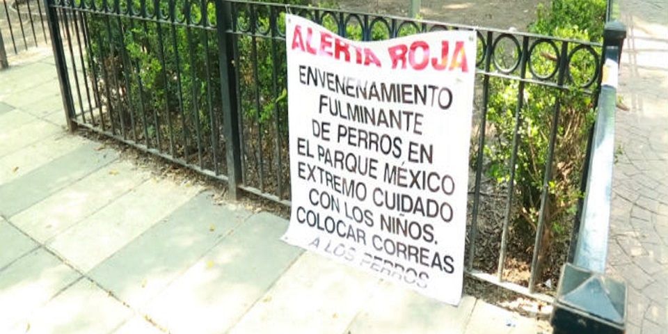 ‘Mataperros’ de la Condesa podría recibir 4 años de cárcel