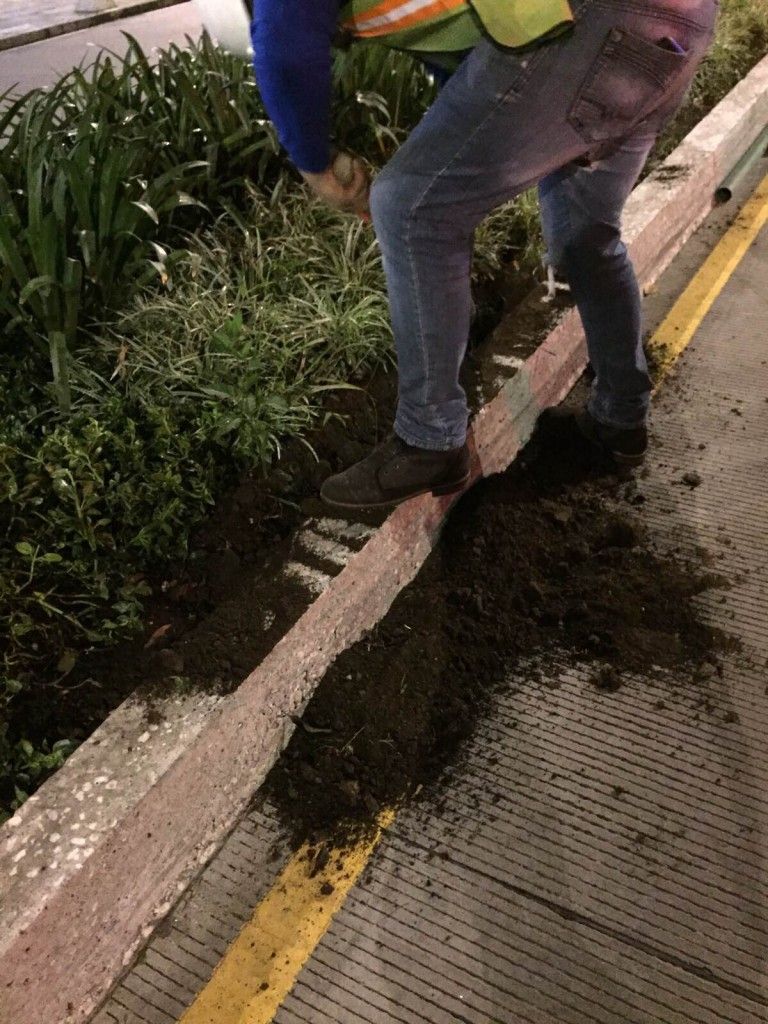 Sigue el caos por obras en Masaryk - IMG_7622-768x1024