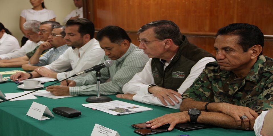 Mínimos, los daños ambientales por el paso de ‘Patricia’: PROFEPA