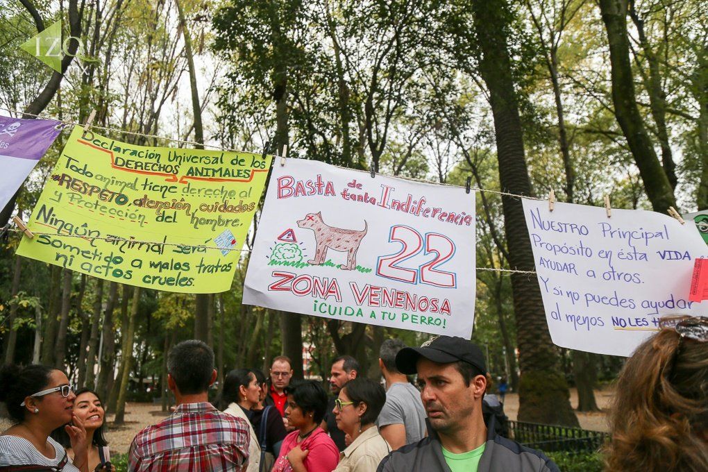 Podría ser una anciana la “mataperros de la Condesa”