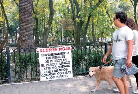 Autoridades buscan a “El Mataperros” de la Condesa