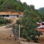 Imágenes de la casa del Chapo en Durango - casa-chapo-150x150