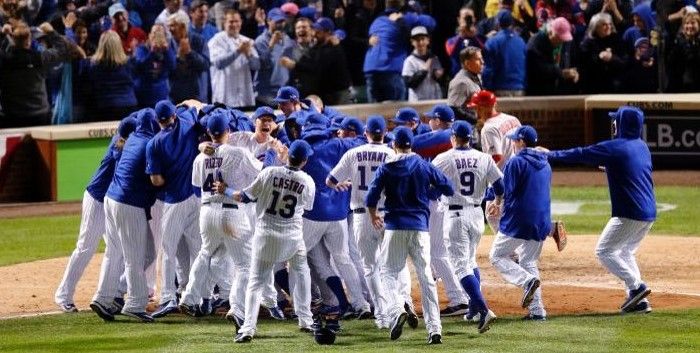 Cachorros dan la sorpresa