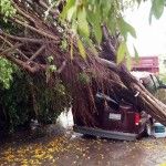 Daños menores en Jalisco por Huracán Patricia - jalisco-3-150x150