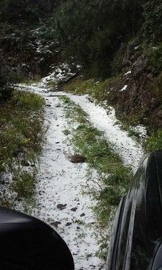 Nieva en zona montañosa de Sonora