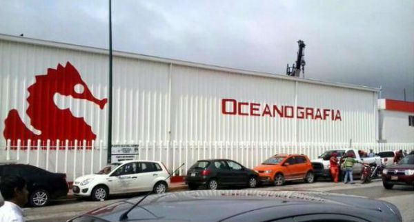 Niegan amparo a socio de Oceanografía