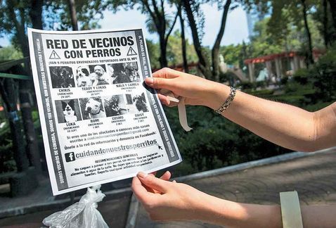 “El Mataperros” de la Condesa utilizó raticida: veterinario