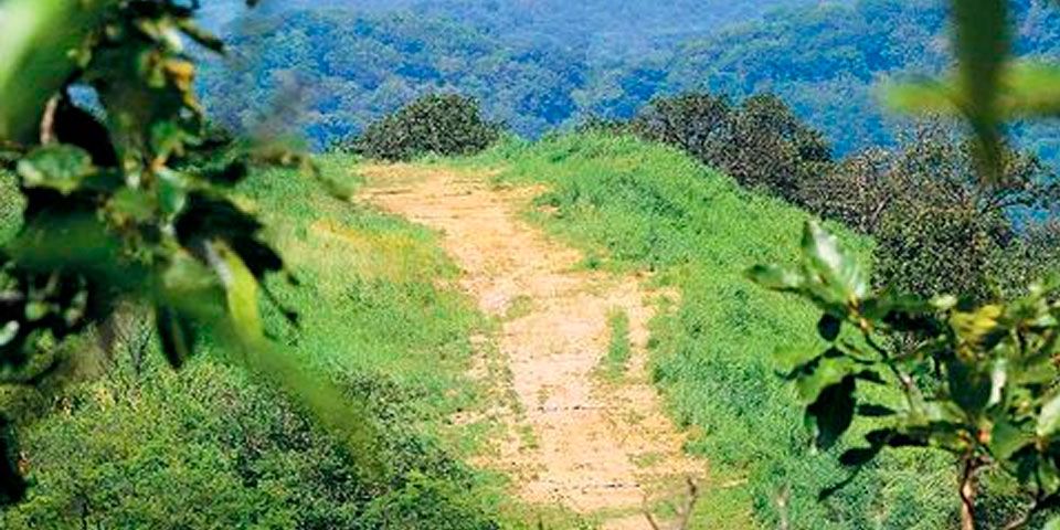 Encuentran pistas clandestinas de ‘El Chapo’ en Sinaloa