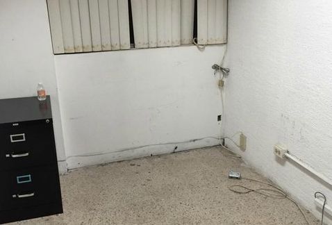 Nueva jefa delegacional en Tlalpan denuncia saqueo en oficinas