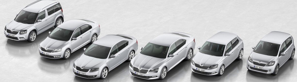 Los automóviles afectados por VW - skodat_1