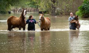Tres muertos por lluvias en Texas - texas3-300x180