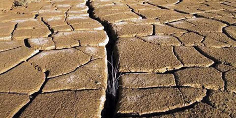 Más de la mitad de la Tierra sería zona árida en 2100