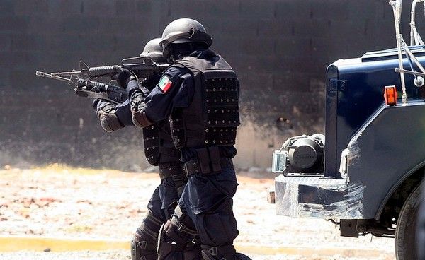 Agentes de la Policía Federal desmantelan dos bandas de secuestradores